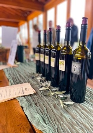 Selection of Vino Noceto Wines